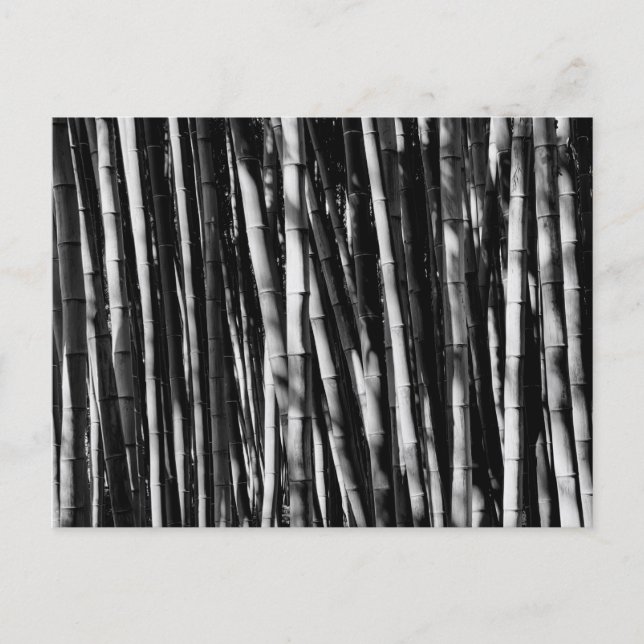 Bambu Vykort (Framsida)