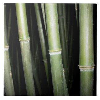 Bambudesignväggen belägger med tegel kakelplatta