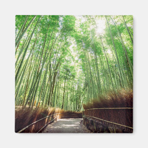 Bambudunge Arashiyama, Kyoto, Japan Magnet