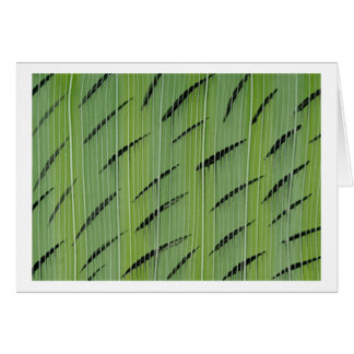 Bambugröntar Hälsningskort
