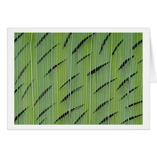 Bambugröntar Hälsningskort (Framsidan Horizontal)
