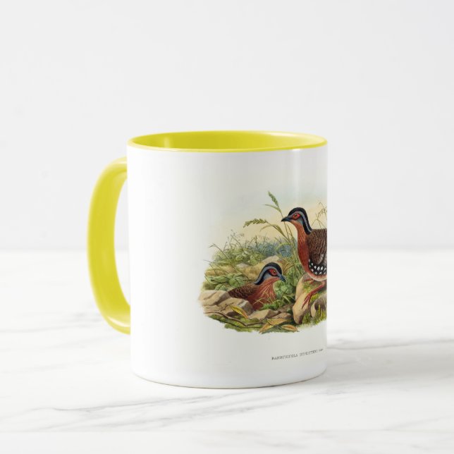 Bambusicola hyperythra mugg (Framsida vänster)