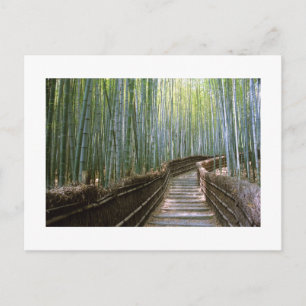 Bambuskog i Sagano, Kyoto Vykort