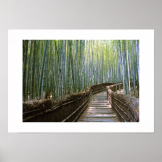 Bambuskog: Kyoto, Japan Poster