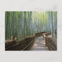 Bambuskog: Kyoto, Japan