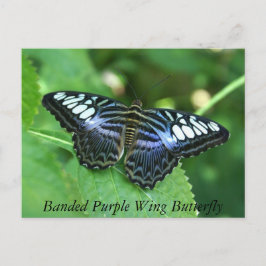 Banad Lila Vinge Butterfly Vykort