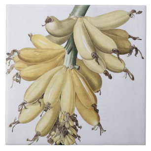 Banan 1816 kakelplatta