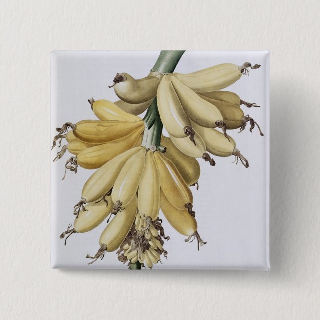 Banan 1816 knapp (Framsida)