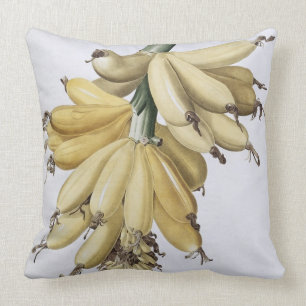 Banan 1816 kudde