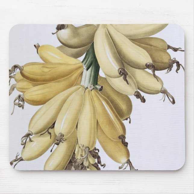 Banan 1816 musmatta (Framsidan)