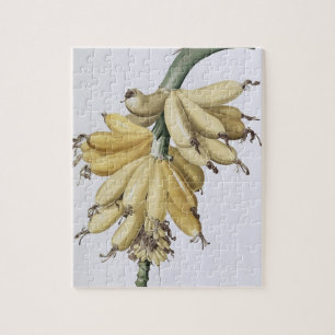 Banan 1816 pussel