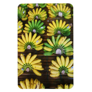 Banan för ägg för ~ för damfinger knäpp (ก magnet