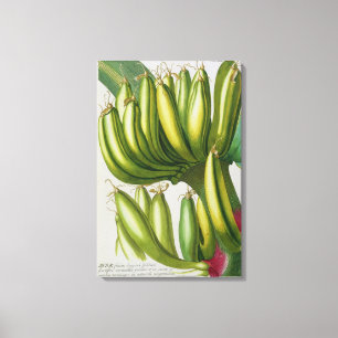 Banan som inristas av Johann Jakob Haid (1704-67) Canvastryck