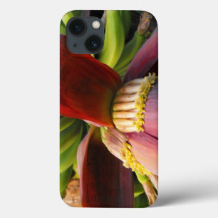Banana Blomma