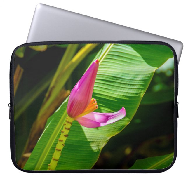Banana Flower, Limahuli Gardens, Kauai Wetdress Laptop Sleeve (Framsidan)