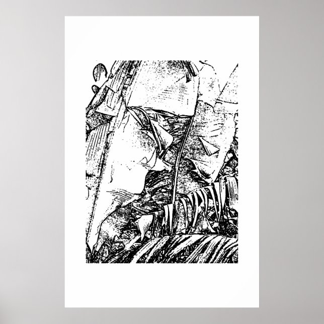 Banana Fronds Poster (Framsidan)