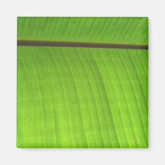 Banana Löv Close-Up Magnet