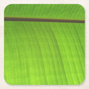 Banana Löv Close-Up Underlägg Papper Kvadrat