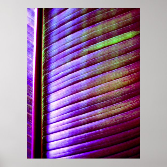 (Banana Löv) Poster Skriv ut (Framsidan)