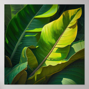 Banana Lövs Art Print Poster