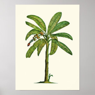 Banana Pen och Bläck Poster