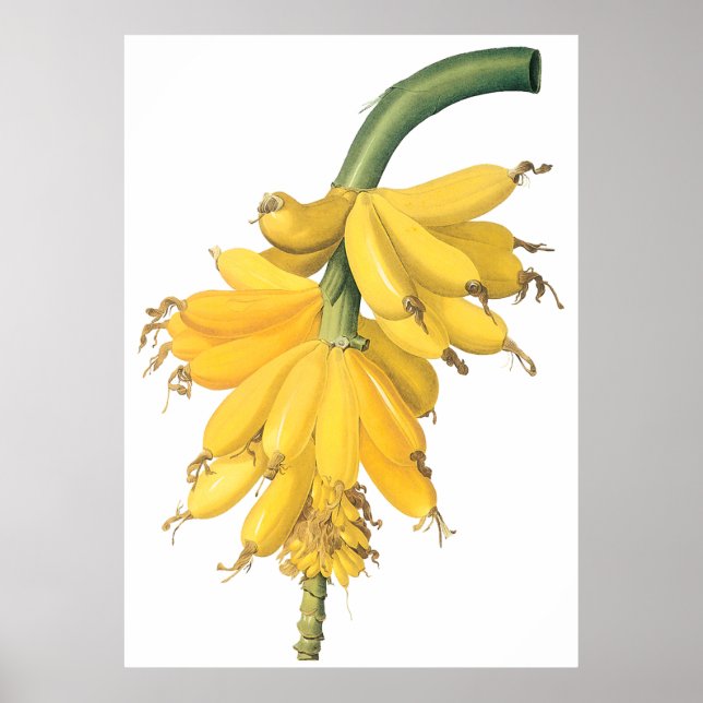 Banana Poster (Framsidan)