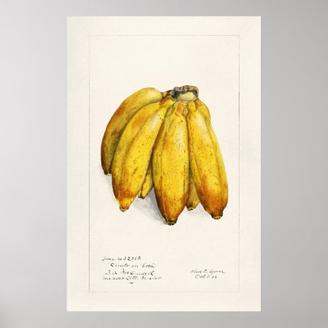 Banana Poster (Framsidan)