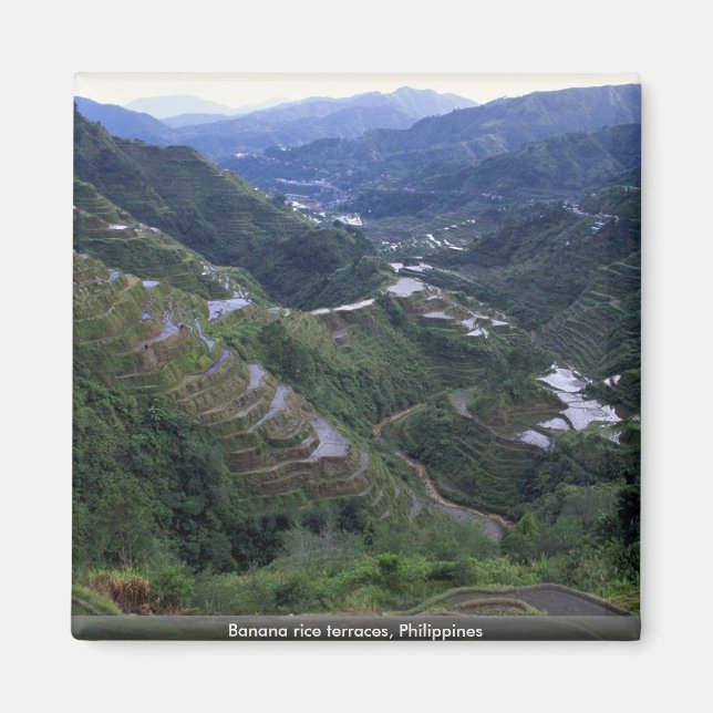 Banana ris terraces, Filippinerna Magnet (Framsidan)
