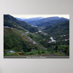 Banana ris terraces, Filippinerna Poster