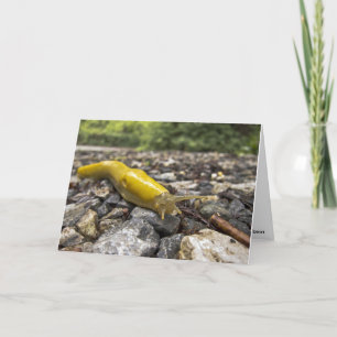 Banana Slug Note-kort Kort