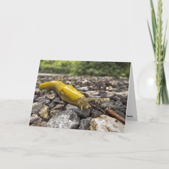 Banana Slug Note-kort Kort (Framsida)