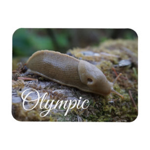 Banana Slug på den olympiska nationalparken i Moss Magnet