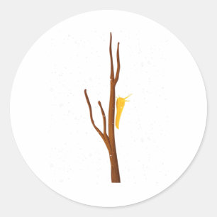 Banana Slug - Skitade arter av Banana Slug klättra Runt Klistermärke