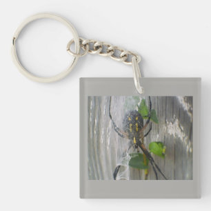 Banana Spider