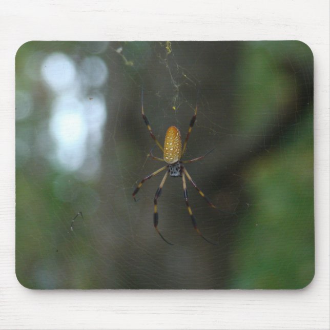Banana Spider Musmatta (Framsidan)