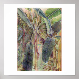 Banana Träd © 2010 Poster