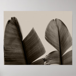 Banana Träd Löv i Sepia Poster