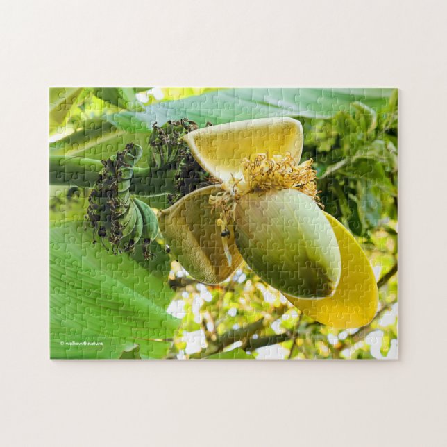 Banana Träd med Banana Fruits Pussel (Horisontell)