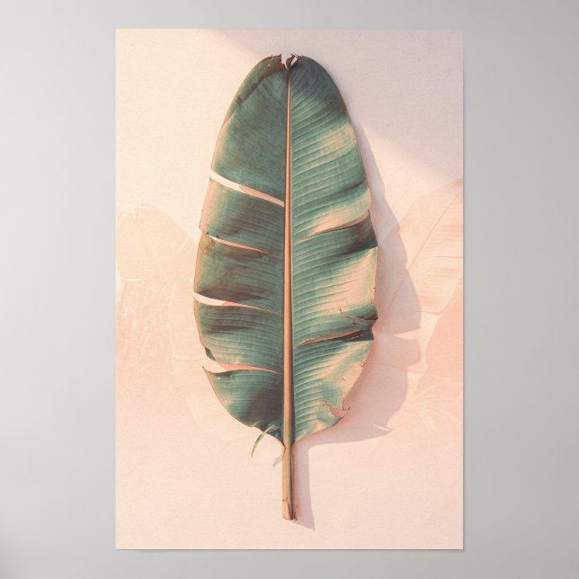 Bananalöv Botanisk Poster (Framsidan)
