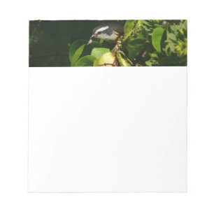 Bananaquit Bird Eating Tropical Photography Anteckningsblock