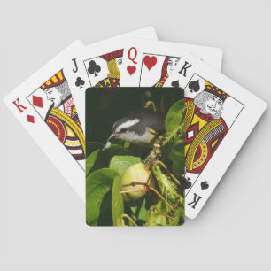 Bananaquit Bird Eating Tropical Photography Casinokort