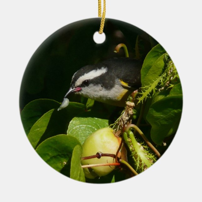 Bananaquit Bird Eating Tropical Photography Julgransprydnad Keramik (Framsidan)