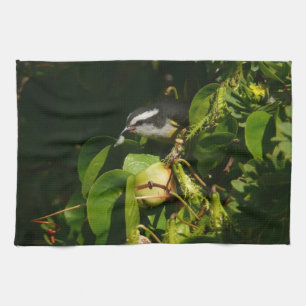 Bananaquit Bird Eating Tropical Photography Kökshandduk