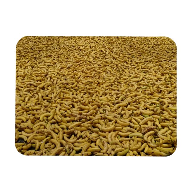 Bananer 3"x4" Magnet (Horisontell)