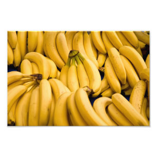 Bananer Fototryck