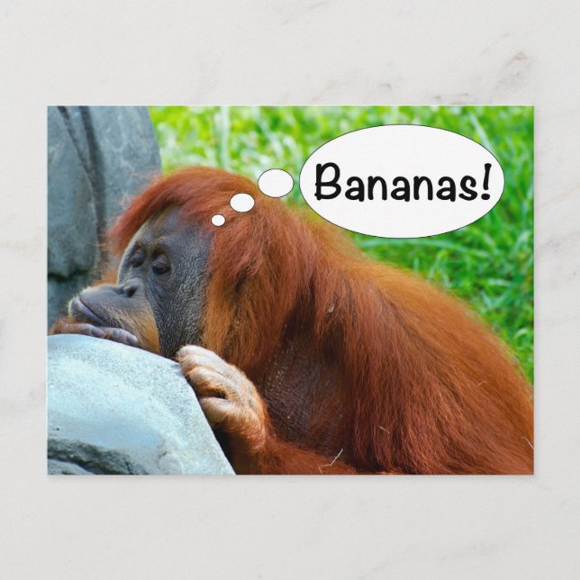 Bananer! Vykort (Framsida)