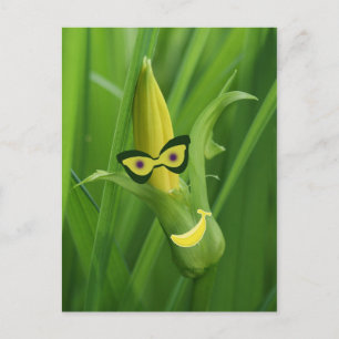 bananer vykort