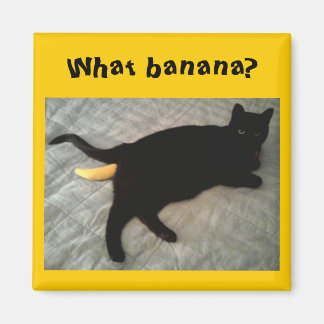 Banankatt leksak saknas magnet