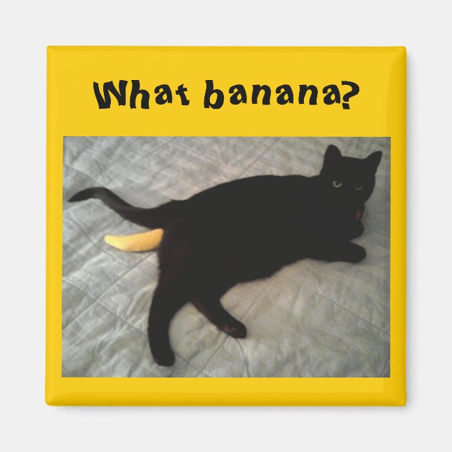 Banankatt leksak saknas magnet (Framsidan)