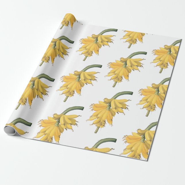 Bananmönster Presentpapper (Utrullad)